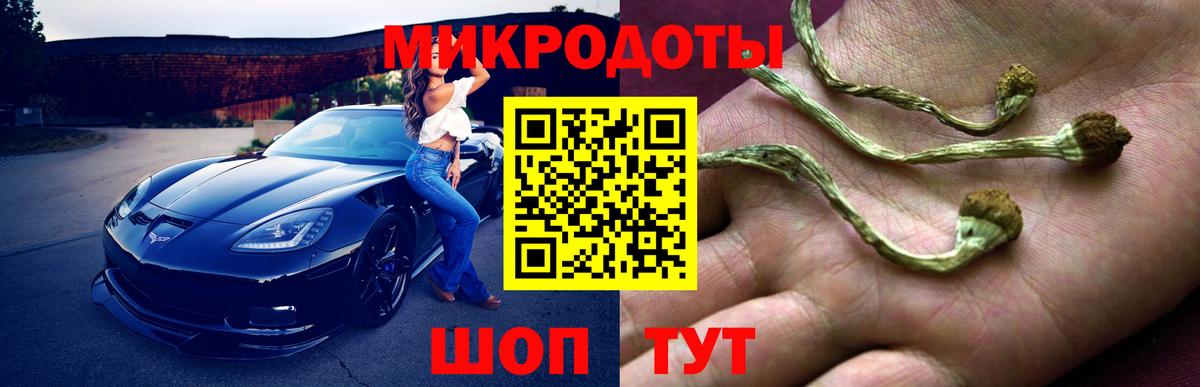 Псилоцибиновые грибы прущие грибы Азнакаево